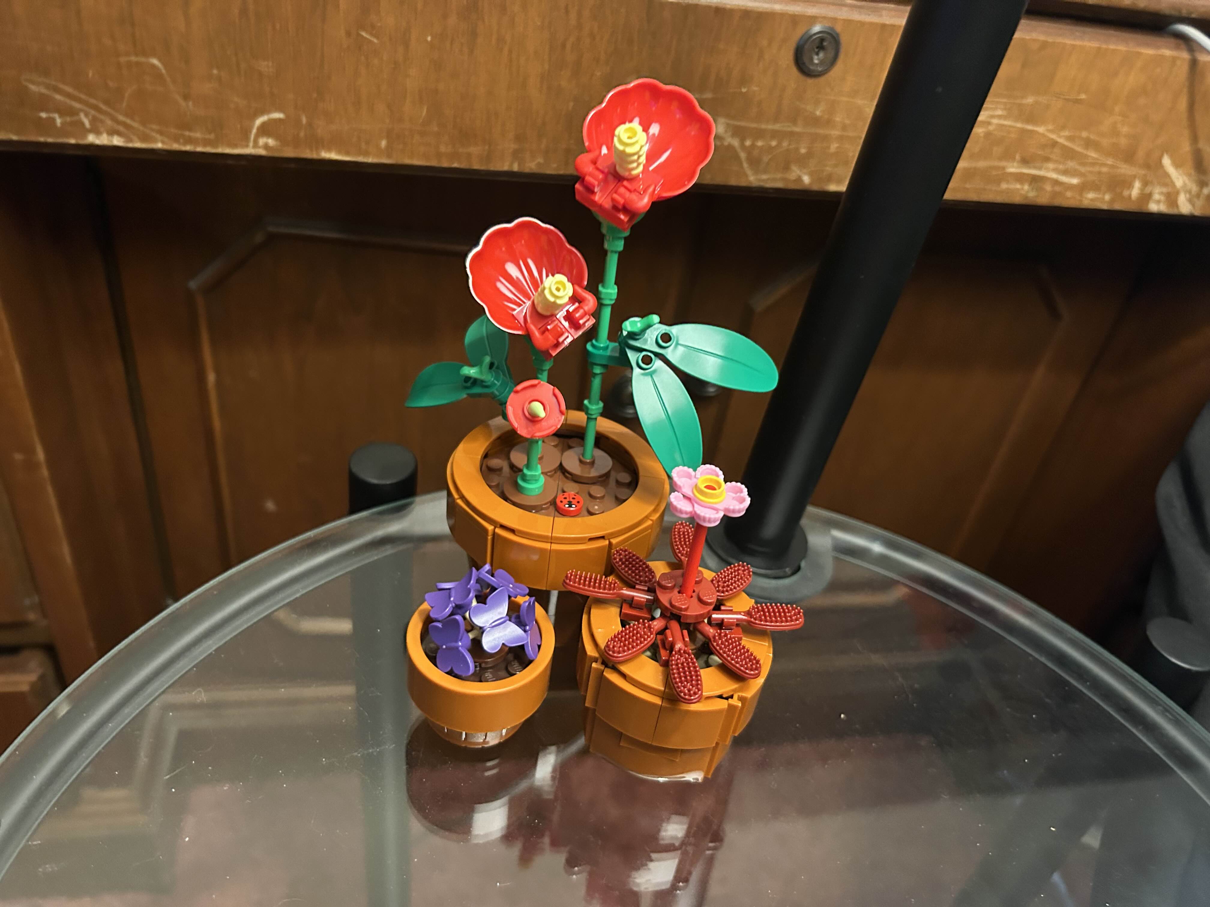 Image of three LEGO flowers sitting on a glass table. The flowers are all in brown pots and are of varying sizes. The tallest one is two red flowers with wide leaves and a ladybug sitting in the dirt. The medium sized flower is pink surrounded by a maroon bush. The smallest is a small bush of lilac flowers.